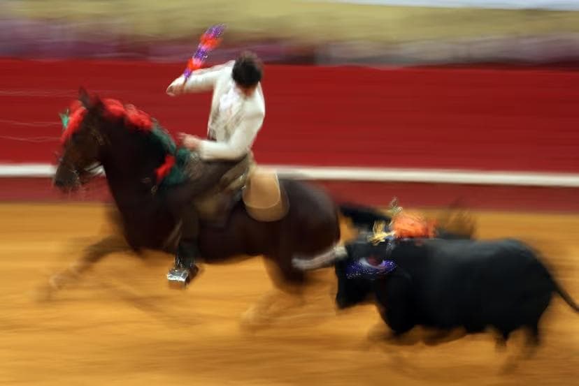 Cavaleiro cavalo e touro